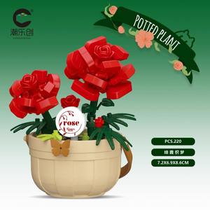 Boîte Mystère de Plantes Succulentes et Roses - Kit de Jardinière à Construire, Cadeau pour Femmes, Décoration de Bureau et Cadeau Surprise - Product Image 5