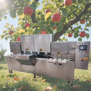 Machine à peler, éplucher et trancher les pommes à haute efficacité, personnalisable, en promotion, fabriquée en Chine - Product Image 4