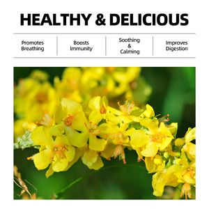 Té Herbal para el Apoyo Pulmonar y Respiratorio |   18 Hierbas Naturales: Morera, Nogal, Madreselva |   Comodidad Respiratoria para Fumadores y Residentes de la Ciudad - Product Image 4