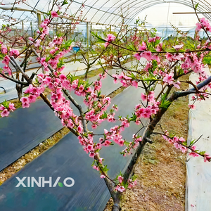 Mulch phim cảnh quan thương mại vải tiết kiệm nước <span class=keywords><strong>Polypropylene</strong></span> cỏ dại hàng rào bán buôn vải cảnh quan - Product Image 5