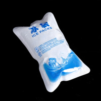 Sacs de Glace en Gel Auto-Amorçants, Sachets Réfrigérants en Gel Plastique à Absorption d'Eau Automatique pour Refroidissement Alimentaire, Légumes et Vin
