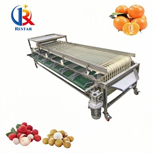 Máquina clasificadora de limón multimodelo con proceso de clasificación de tamaño automatizado, simplificación de la clasificación de limón por diámetro y volumen - Product Image 5