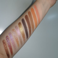 12 couleurs mat duochrome ombre à paupières Palette végétalien haute Pigment végétalien maquillage fard à paupières Palette marque privée fard à paupières