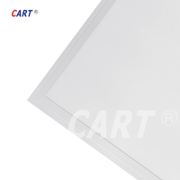 Panneau lumineux LED diffuseur PS de haute qualité 60x120 RGB/RGB+W/RGB+CCT Grande taille 600x1200 Panneau éclairé par les bords et rétroéclairé