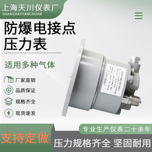 เกจวัดแรงดันแบบสัมผัสไฟฟ้า Ytx-100b-zt -0.1 ถึง 0.6 เมกะปาสคาล ป้องกันการระเบิด ผลิตจากสแตนเลส โรงงานเซี่ยงไฮ้ - Product Image 3