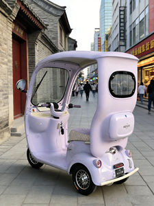 Triciclo Eléctrico Abierto de 351-500W y 60V (Aprobado por DOT), Autonomía de 50-70km, Cómodo para 2 Pasajeros, Ideal para Explorar Ciudades Costeras y Jardines de Té - Product Image 2