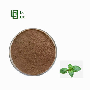Sıcak Satış Yüksek Kaliteli Saf Doğal Nane Özü Nane Tozu - Product Image 1