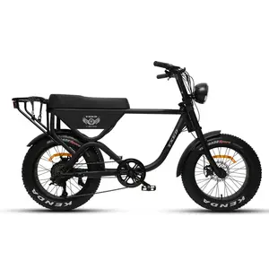 OEM Fabrik High Power Fett reifen Motor E Fahrrad Elektro fahrrad