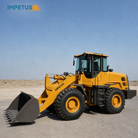 Chargeuse sur pneus diesel Impetus China Construction Machinery de 7, 6, 5 et 3 tonnes avec différents accessoires