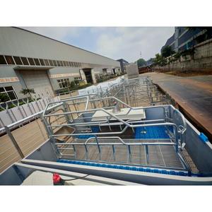 Bestseller nel mercato americano: Attrezzature per allevamenti suini, Box di parto per suini, Letti per suini, Recinti per parto per scrofe in vendita - Product Image 5