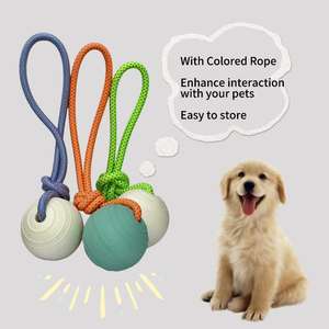 LY 2026 Nouveaux jouets à mâcher modernes pour animaux de compagnie, balle pour chien en mousse EVA écologique avec design à trous, pour le jeu interactif en extérieur et les sacs de transport de vacances - Product Image 5