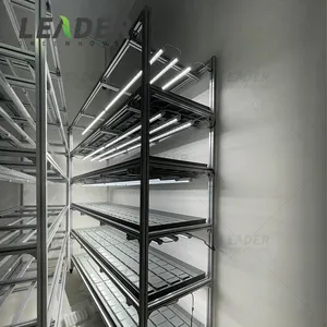 Vertical farming plant factory hydroponics growing system 1.5x3m movable multi tiers abs flood tray rolling bench rack seedbed