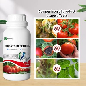 Engrais liquide biologique pour tomates, améliorant la qualité et augmentant le rendement - Product Image 4