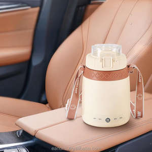 Portable Rapide Chaleur Chauffage Chaudière Thé Garder Au Chaud 304 En Acier Inoxydable Électrique Eau Chaude Tasse Bouteille Voyage Bouilloire - Product Image 4