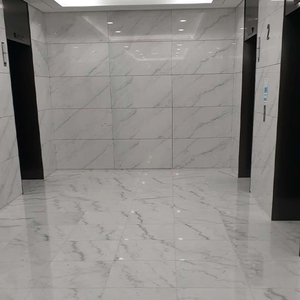 Piedra TMZ de mármol blanco Guangxi moderna de alta calidad ODM/OEM para baño de hotel y sala de estar Interior pulido - Product Image 3