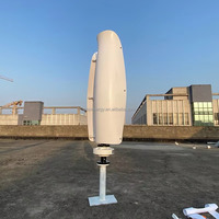Éolienne verticale en forme de rose 12V 24V 48V 500W 1kw 2kw 3kw, nouvelle, silencieuse, pour usage domestique, avec générateur à lévitation magnétique