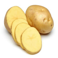 Premium verse natuurlijke hele aardappelen, groothandelslevering voor koken, bakken & culinaire keukens
