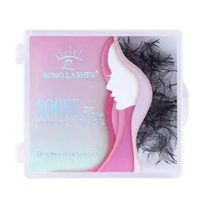 loose fans 500 pcs 10D premade eyelash extensions las extension supplies