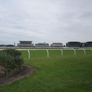 Paneles blancos de PVC para vallas de caballos para competiciones de saltos con diseño de piquete y puertas para arenas al aire libre - Product Image 3