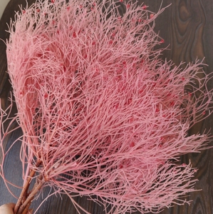 Nuevas y creativas flores secas preservadas <span class=keywords><strong>de</strong></span> lujo en varios colores rosa, hojas <span class=keywords><strong>de</strong></span> hierba y joyas ornamentales para decoración <span class=keywords><strong>de</strong></span> bodas - Product Image 5