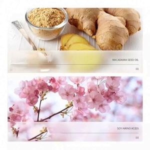 Champú para el Cabello de Belleza con Control de Grasa, Reparación de Daños, Hidratante y Suavizante Orgánico con Fragancia Natural de Marca Privada OEM - Product Image 5