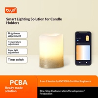 Solusi Lampu Lilin Pintar Tuya, Lampu Ambient untuk Berkemah di Luar Ruangan, Pengaturan Peredupan & Penyesuaian Warna, Sakelar Timer, Desain & Pengembangan Solusi IoT