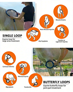 Máquina de Campo Electromagnético Pulsado (PEMF) Profesional de Alta Calidad para Clínicas Veterinarias, Mantenimiento de la Salud Equina, para <span class=keywords><strong>Caballos</strong></span> - Product Image 4