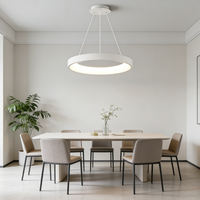 Lustre LED pour salon, design créatif circulaire, style postmoderne, simple, luminaire pour salle à manger, chambre à coucher, luminaires nordiques, taille moyenne