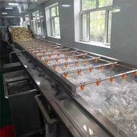 Hoge Kwaliteit Groente En Fruit Wasmachine Commerciële Aardappel Tomaat Wasmachine
