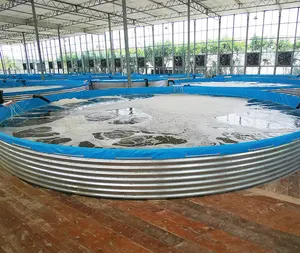 Fish Farming Tank Aquaculture 65000 L Ras Farming System Shrimp Tilapia Biofloc Tank Fish Farming Pond Plastic