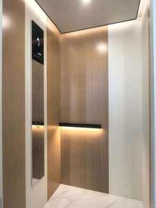 Ascensores Comerciales Modernos de 6 Pisos con Capacidad para 5 Personas - Product Image 3