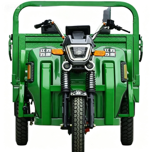 Light Body Electric Tricycle Easy Operation Safe Driving 100-300kg Load Trike - Product Image 2