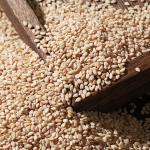 En gros Naturel graines <span class=keywords><strong>de</strong></span> sésame <span class=keywords><strong>blanc</strong></span> <span class=keywords><strong>Brut</strong></span> <span class=keywords><strong>de</strong></span> sésame - Product Image 1