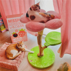 <strong>Cat</strong> <strong>Tree</strong> and Tower for Indoor Luxury Wooden <strong>Cat</strong> Condo for Large <strong>Cats</strong> - Product Image 3