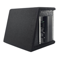 Subwoofer Activo para Auto de Alta Potencia de 10 Pulgadas con Amplificador Clase D Integrado, Altavoz de Bajos para Auto con Bajos Super Potentes