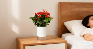 Sistema <span class=keywords><strong>de</strong></span> Cultivo <span class=keywords><strong>de</strong></span> Plantas Ultrapequeño - Sistema Moderno <span class=keywords><strong>de</strong></span> Plantas Verdes para el Hogar - Maceta Ecológica y Respetuosa con el Medio Ambiente - Product Image 2