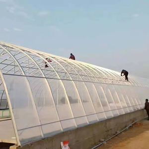 Lớn thép Skeleton nhà kính cho nông nghiệp năng lượng mặt trời khô Polycarbonate khô ống tròn nhà kính - Product Image 4