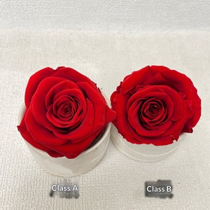 Rose éternelle conservée, fleur de 5 à 6 cm, grand coffret cadeau, bouquet en gros de Chine - Product Image 4