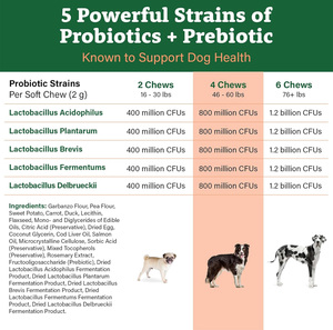 Probiotik Anjing <span class=keywords><strong>Pet</strong></span> Yuan untuk Diare & Kesehatan Kekebalan Usus Probiotik Anjing Suplemen Anjing Suplemen Nutrisi Hewan Peliharaan - Product Image 3