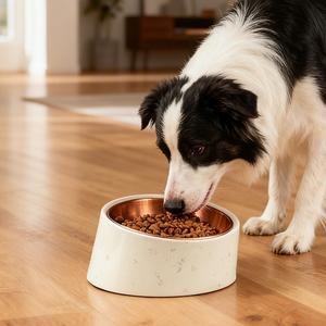 Bol de Repas Incliné pour Animaux de Compagnie en Mélamine Durable, Antidérapant, Confortable et Écologique, Compatible Lave-Vaisselle, Réduit la Fatigue du Cou, Améliore la Prise en Charge - Product Image 1