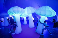 Champignons gonflables lumineux colorés, modèle de champignon gonflable pour la décoration de scène et de fête
