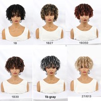 Extension de cheveux synthétiques en fibre de soie africaine haute température, tresses creuses, dreadlocks, sans lacet, perruque afro naturelle, Chine