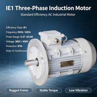 Moteur électrique à induction triphasé certifié CE IE1 de 1,5 CV 1,1 kW, moteur électrique AC fermé, 50/60 Hz, boîtier en fonte