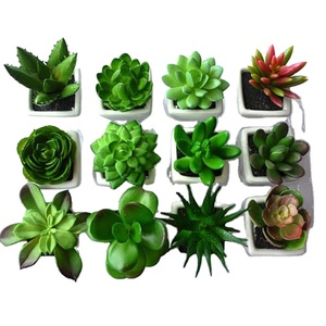 Juego de 4 <span class=keywords><strong>plantas</strong></span> suculentas <span class=keywords><strong>artificiales</strong></span>, miniplantas verdes surtidas para decoración interior del hogar <span class=keywords><strong>con</strong></span> macetas cuadradas de cerámica blanca - Product Image 5