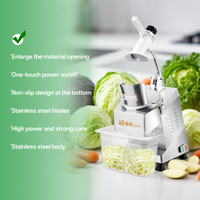 Coupe-légumes et fruits commercial multifonctionnel motorisé en acier inoxydable, hachoir à oignons, mandoline, râpe à pommes de terre