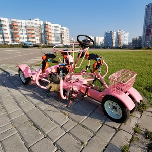 Vélo Tandem Surrey à Pédalage Simple pour 8 Passagers, Bar Mobile pour Visites Touristiques, Fêtes, Soirées, Conférences, Réunions d'Entreprises - Product Image 4
