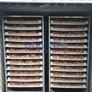 Sala de secado de hierbas de alta precisión Bletilla Striata Horno de secado Sala Bletilla Striata Máquina deshidratadora - Product Image 2