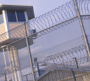 Hoja de afeitar antioxidante de fácil instalación, alambre de púas, bobina de alambre de acero trenzado <span class=keywords><strong>doble</strong></span>, alambre de afeitar - Product Image 3