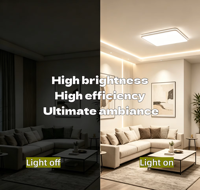 Panneau LED Dimmable, Feuille LED Flexible Double Blanc DC24V, Lumière Réglable, Panneau Matriciel Intelligent Tuya/Capteur, Rétroéclairage LED