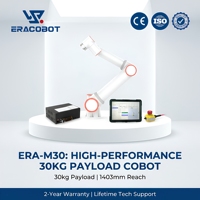 Brazo Robótico de 6 Ejes con Motor para Sistema de Paletización de Bloques de Motor, Capacidad de Carga de 30 kg, Gran Alcance, Solución de Automatización de Alta Resistencia, IP54